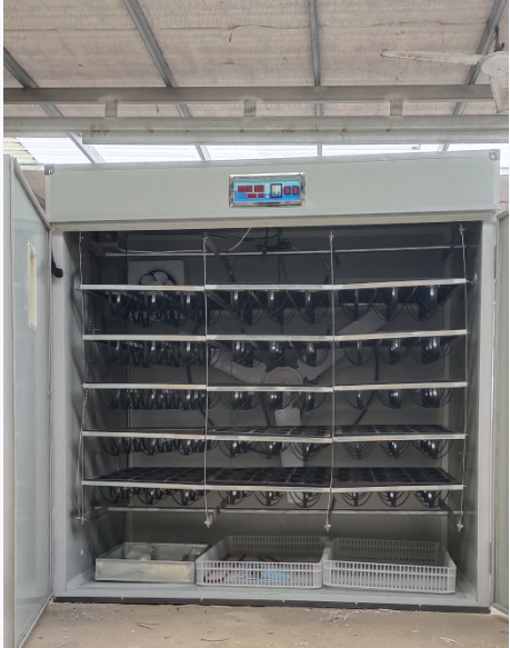 Poultry Incubator - Tam Otomatik Yumurta Kuluçka Makinesi Sabit