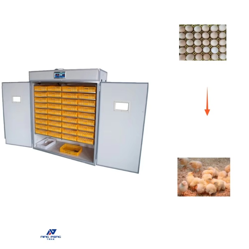 Poultry Incubator - Kümes Hayvanları Yumurta Kuluçka Makinesi Güneş