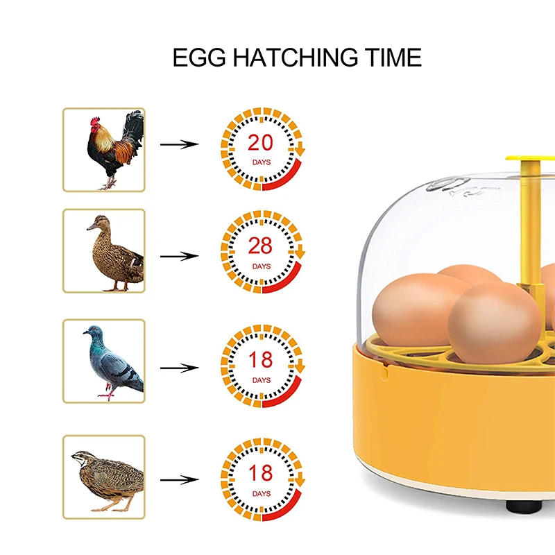 Kuluçka Makinesi Tavuk Ördek K - Poultry Incubator incelemesi ve fiyatı