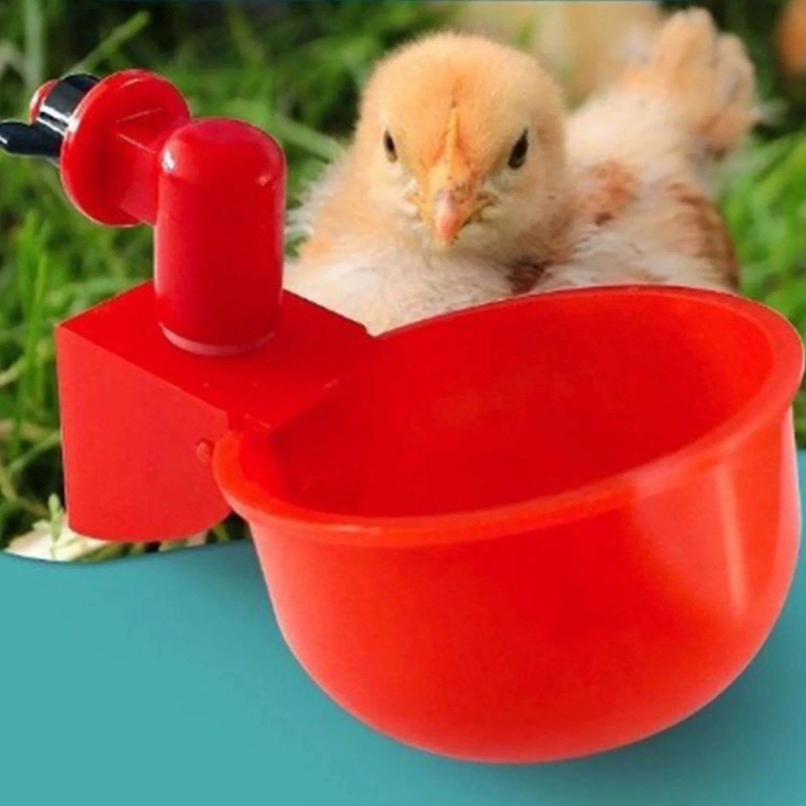 6-36 adet tavuk ördek içme bar - Chicken Nipple Drinker incelemesi ve fiyatı