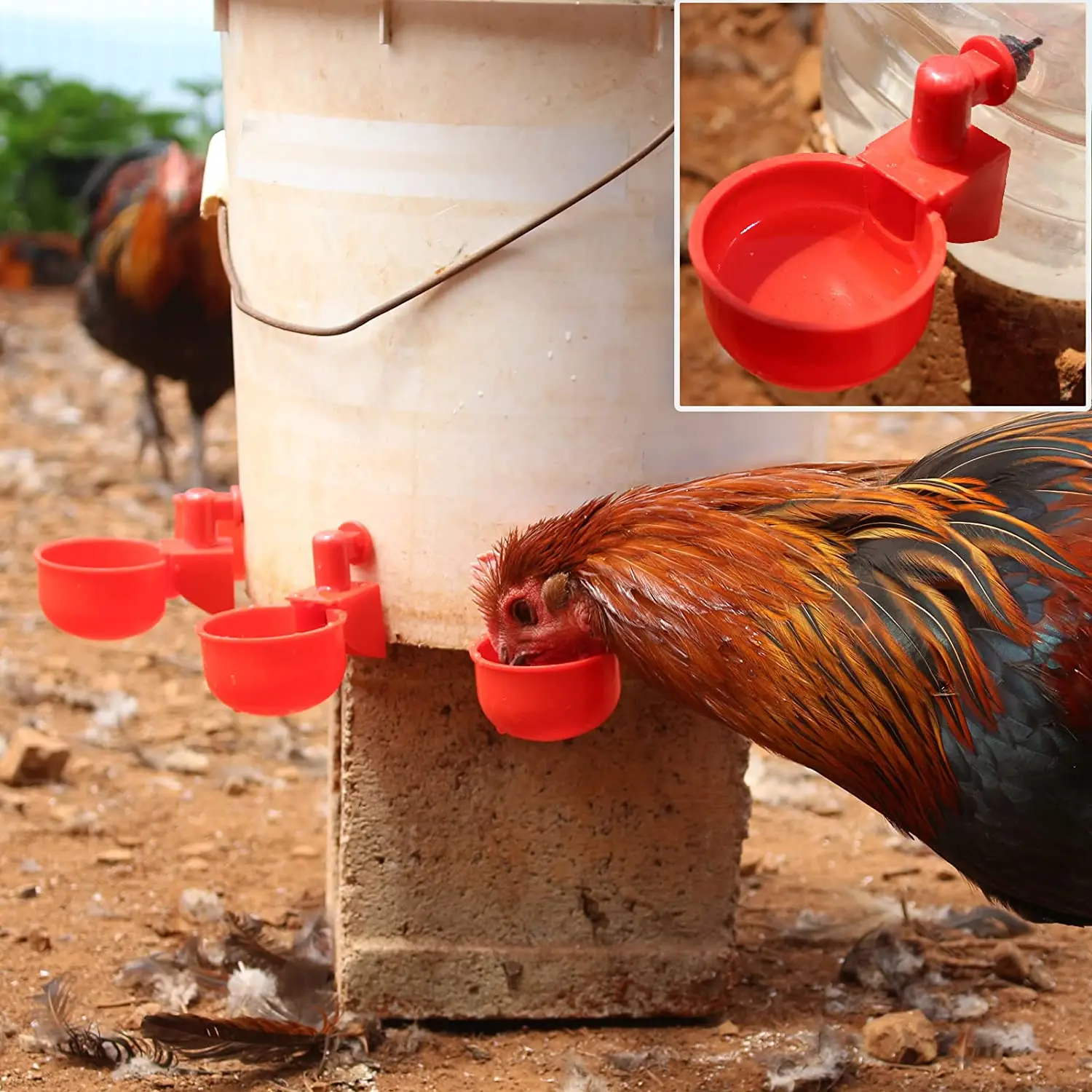 6-36 adet tavuk ördek içme bar - Chicken Nipple Drinker incelemesi ve fiyatı