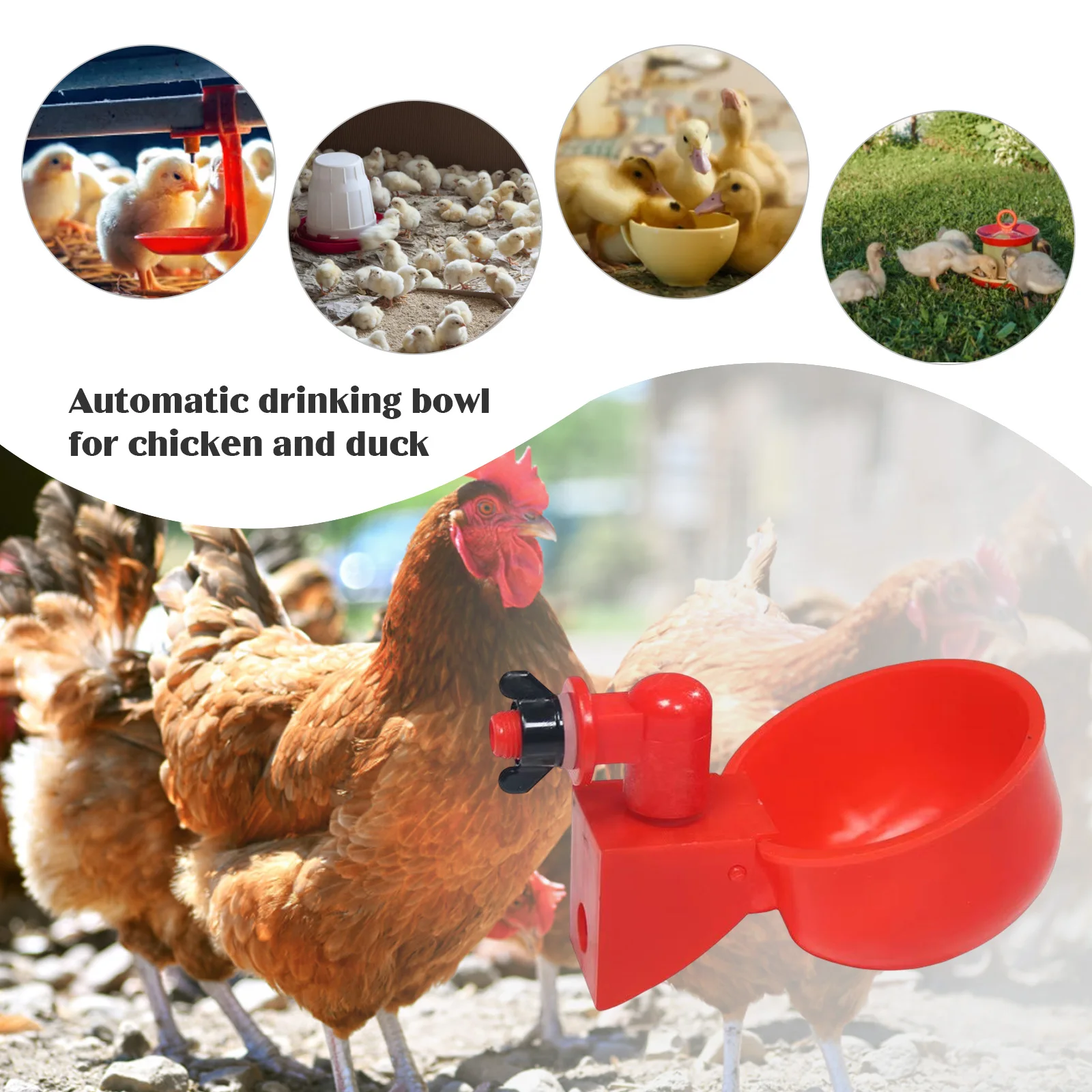 6-36 adet tavuk ördek içme bar - Chicken Nipple Drinker incelemesi ve fiyatı