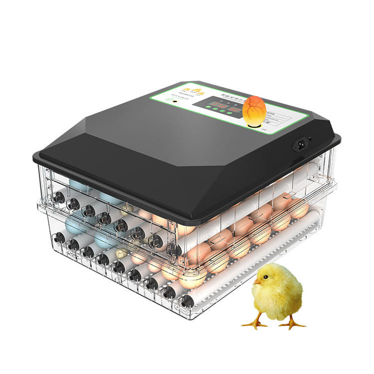 Yaygın Olarak Kullanılan Otoma - Poultry Incubator incelemesi ve fiyatı