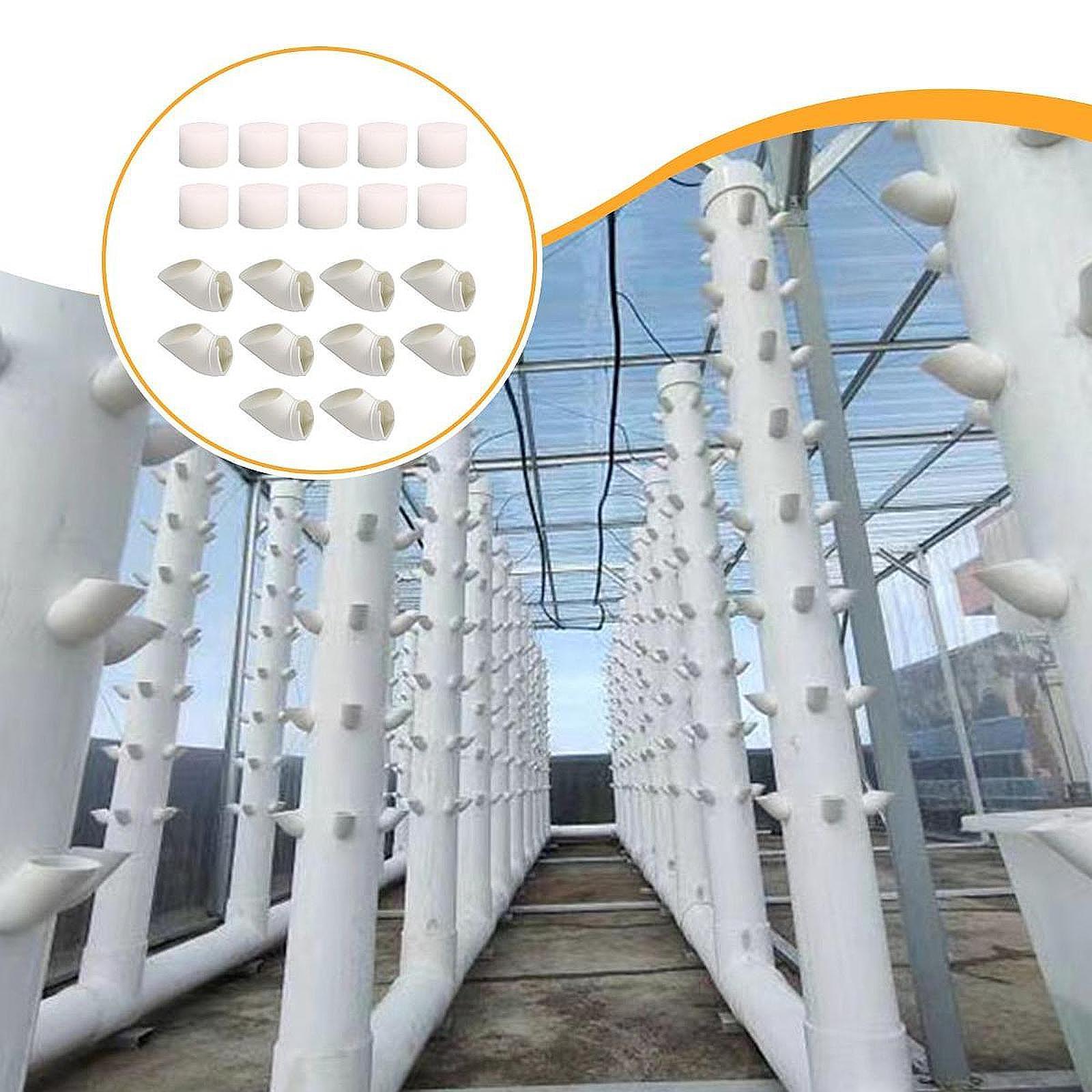 10 Adet Hidroponik Yetiştirme  - Vegetable Transplanter incelemesi ve fiyatı