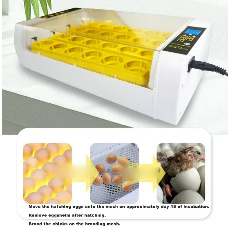 Tam Otomatik Yumurta Kuluçka M - Poultry Incubator incelemesi ve fiyatı