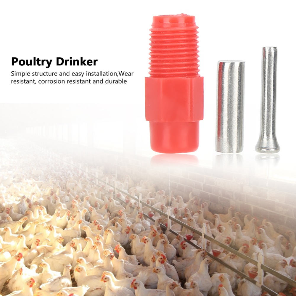 40 adet Paslanmaz Çelik Otomat - Chicken Nipple Drinker incelemesi ve fiyatı