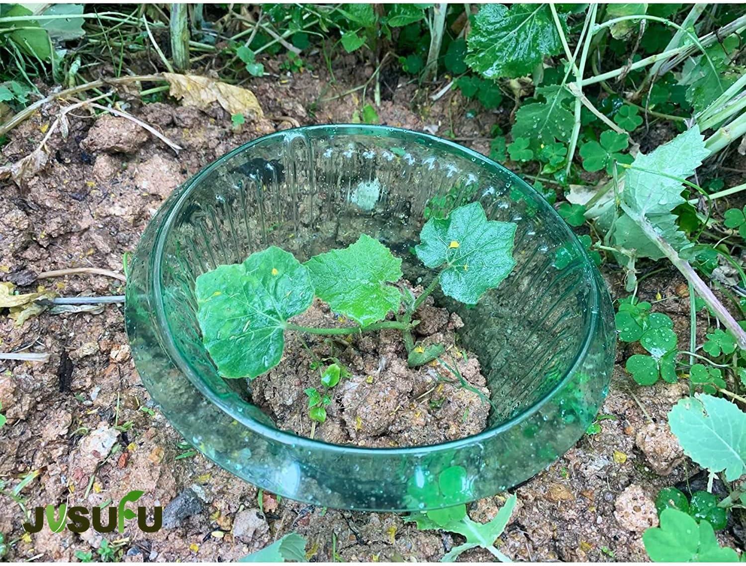 1/30 adet Bitkiler Sümüklüböce - Vegetable Transplanter incelemesi ve fiyatı
