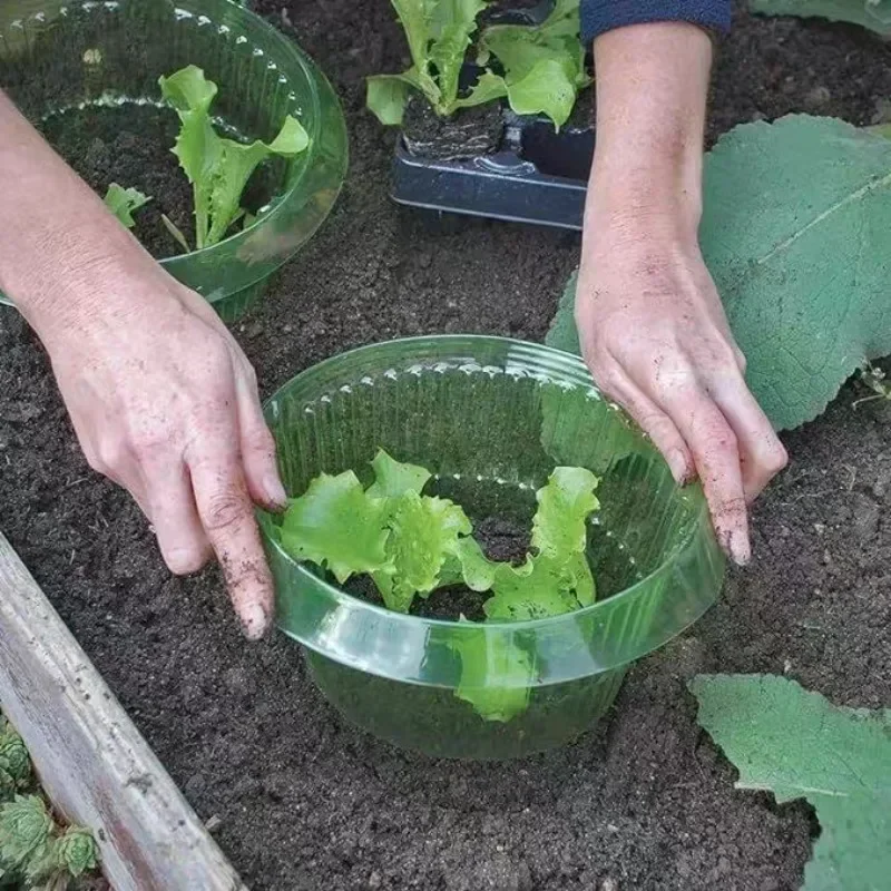 Bitkiler Sümüklüböcek Koruma H - Vegetable Transplanter incelemesi ve fiyatı