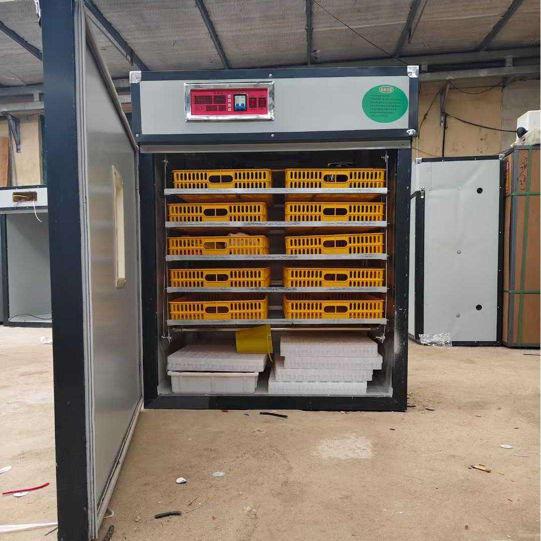 Otomatik kuluçka makinesi Diji - Poultry Incubator incelemesi ve fiyatı