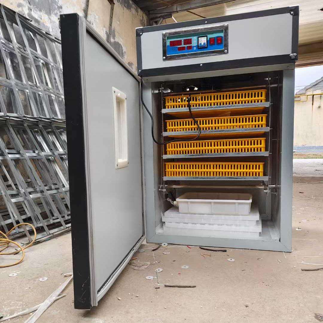 Otomatik kuluçka makinesi Diji - Poultry Incubator incelemesi ve fiyatı