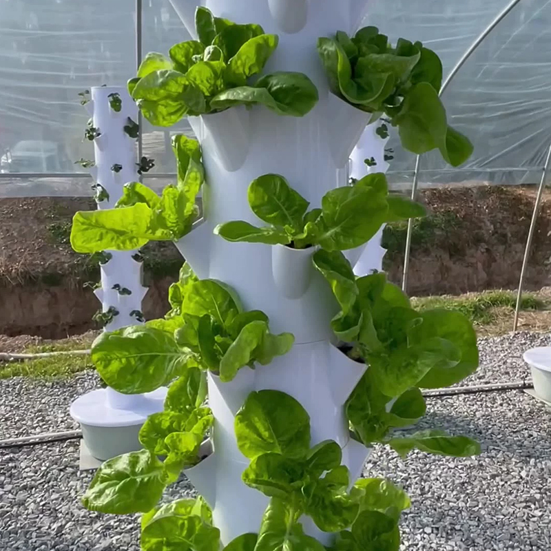 Led Büyümek Işık ile Uzay Ağac - Vegetable Transplanter incelemesi ve fiyatı