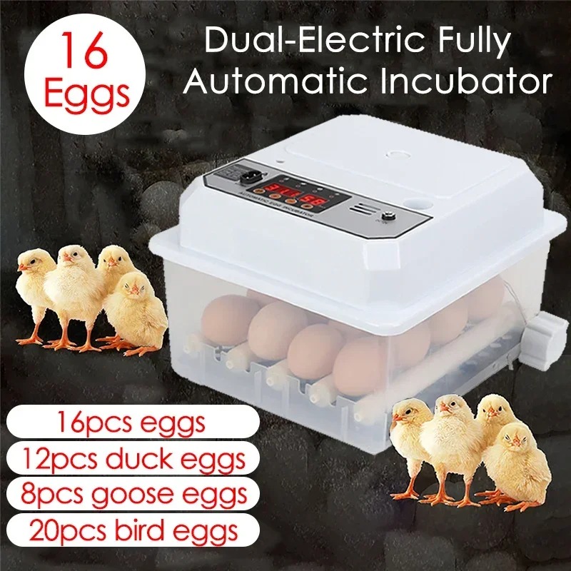 16 Yumurtalık Otomatik Yumurta - Poultry Incubator incelemesi ve fiyatı