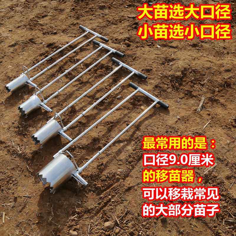 Sebze fide dikme makinesi, seb - Vegetable Transplanter incelemesi ve fiyatı