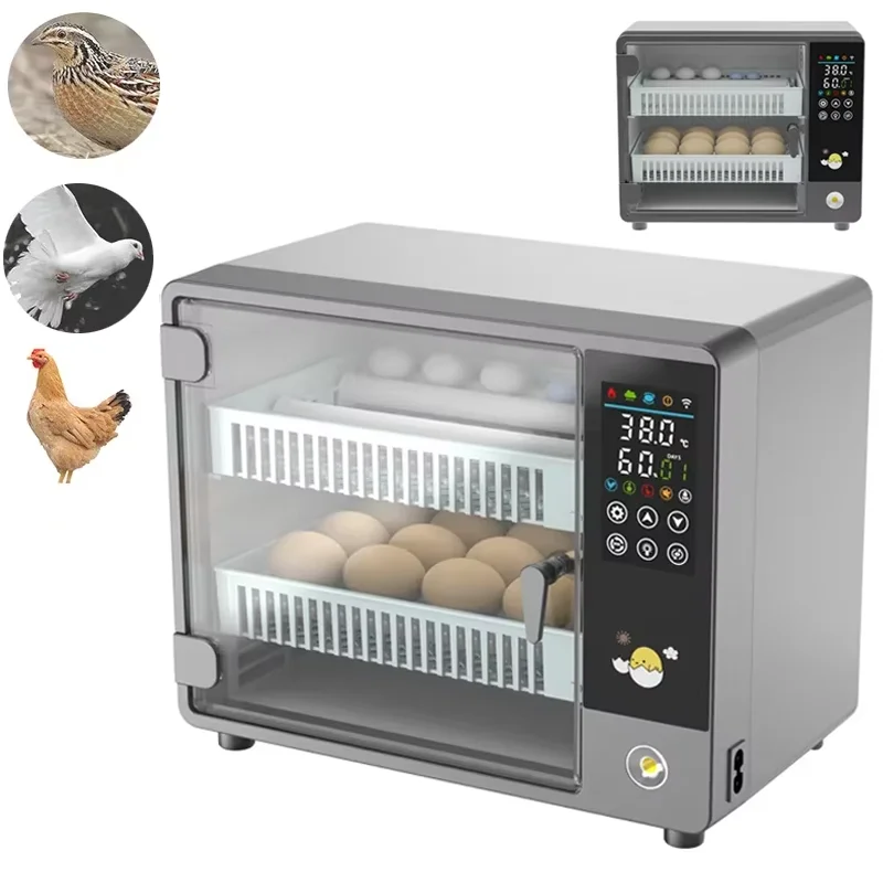 Akıllı Otomatik Yumurta Kuluçk - Poultry Incubator incelemesi ve fiyatı