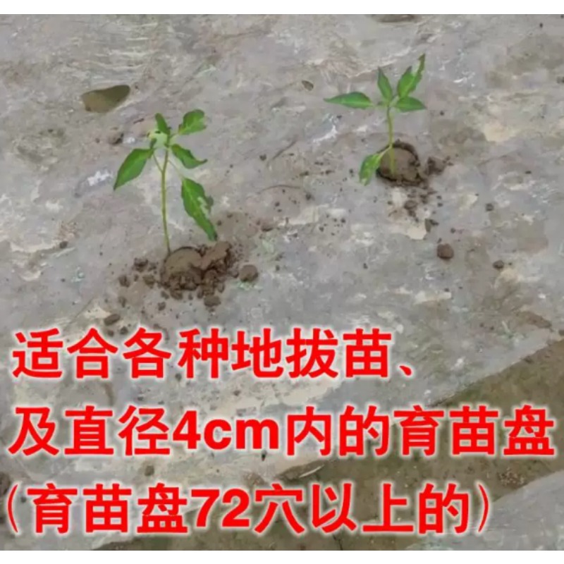 Tarımsal Fide Dikim Makinesi D - Vegetable Transplanter incelemesi ve fiyatı