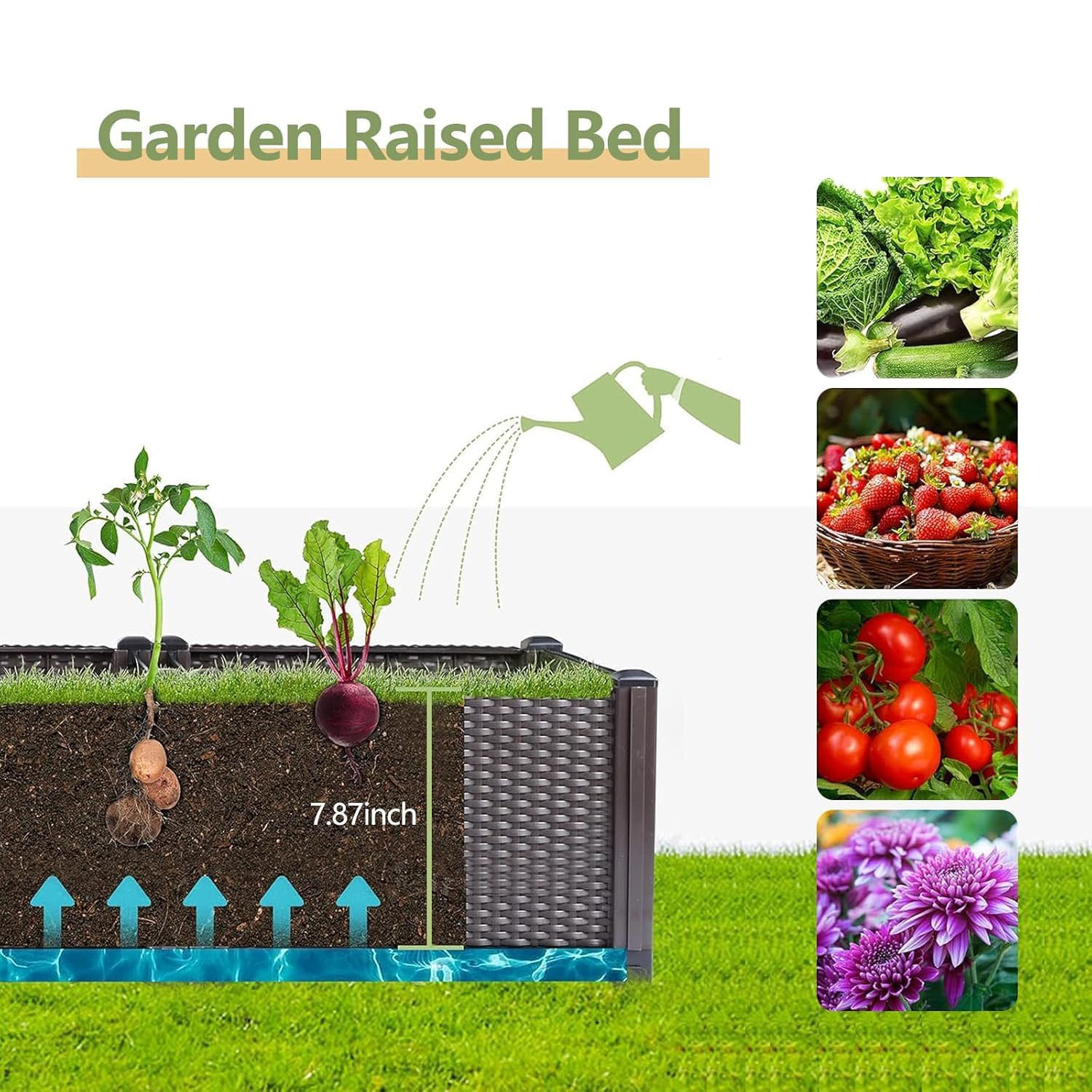 Kendi Kendine Sulanan Yükselti - Vegetable Transplanter incelemesi ve fiyatı