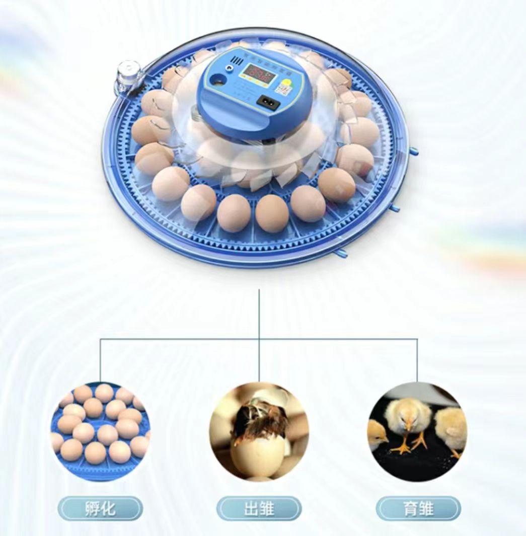 20/24/36/56/96/112 Yumurtalı T - Poultry Incubator incelemesi ve fiyatı